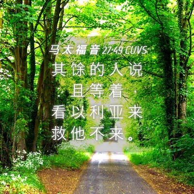 Picture 04 - 马 太 福 音 27:49 CUVS - 其 馀 的 人 说 ： 且 等 着 ， 看 以 - Bible Verse Picture