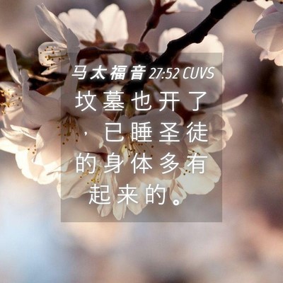 Picture 04 - 马 太 福 音 27:52 CUVS - 坟 墓 也 开 了 ， 已 睡 圣 徒 的 身 - Bible Verse Picture