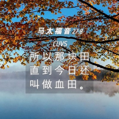 Picture 04 - 马 太 福 音 27:8 CUVS - 所 以 那 块 田 直 到 今 日 还 叫 做 - Bible Verse Picture