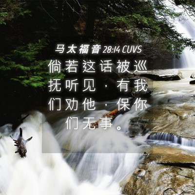 Picture 04 - 马 太 福 音 28:14 CUVS - 倘 若 这 话 被 巡 抚 听 见 ， 有 我 - Bible Verse Picture
