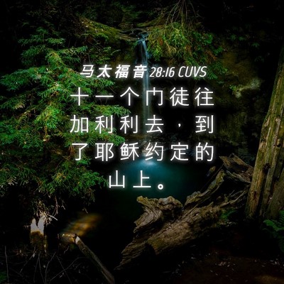 Picture 04 - 马 太 福 音 28:16 CUVS - 十 一 个 门 徒 往 加 利 利 去 ， 到 - Bible Verse Picture