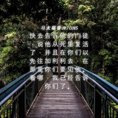 Picture 04 - 马 太 福 音 28:7 CUVS - 快 去 告 诉 他 的 门 徒 ， 说 他 从 - Bible Verse Picture