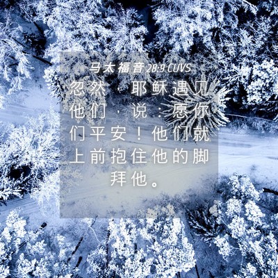 Picture 04 - 马 太 福 音 28:9 CUVS - 忽 然 ， 耶 稣 遇 见 他 们 ， 说 ： - Bible Verse Picture
