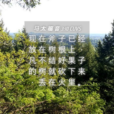 Picture 04 - 马 太 福 音 3:10 CUVS - 现 在 斧 子 已 经 放 在 树 根 上 ， - Bible Verse Picture
