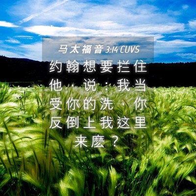 Picture 04 - 马 太 福 音 3:14 CUVS - 约 翰 想 要 拦 住 他 ， 说 ： 我 当 - Bible Verse Picture