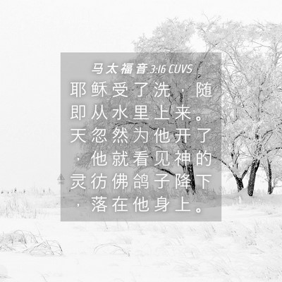 Picture 04 - 马 太 福 音 3:16 CUVS - 耶 稣 受 了 洗 ， 随 即 从 水 里 上 - Bible Verse Picture