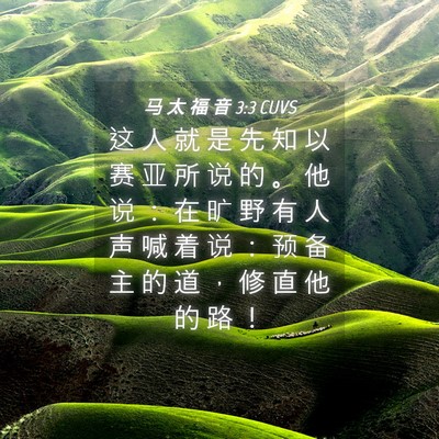Picture 04 - 马 太 福 音 3:3 CUVS - 这 人 就 是 先 知 以 赛 亚 所 说 的 - Bible Verse Picture
