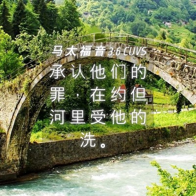 Picture 04 - 马 太 福 音 3:6 CUVS - 承 认 他 们 的 罪 ， 在 约 但 河 里 - Bible Verse Picture