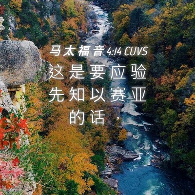 Picture 04 - 马 太 福 音 4:14 CUVS - 这 是 要 应 验 先 知 以 赛 亚 的 话 - Bible Verse Picture