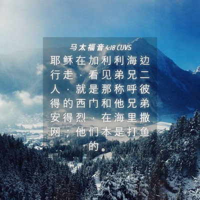 Picture 04 - 马 太 福 音 4:18 CUVS - 耶 稣 在 加 利 利 海 边 行 走 ， 看 - Bible Verse Picture