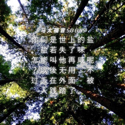 Picture 04 - 马 太 福 音 5:13 CUVS - 你 们 是 世 上 的 盐 。 盐 若 失 了 - Bible Verse Picture