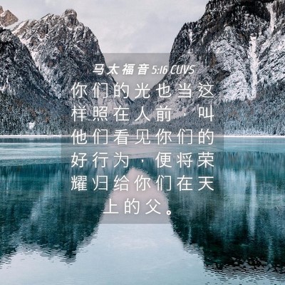 Picture 04 - 马 太 福 音 5:16 CUVS - 你 们 的 光 也 当 这 样 照 在 人 前 - Bible Verse Picture