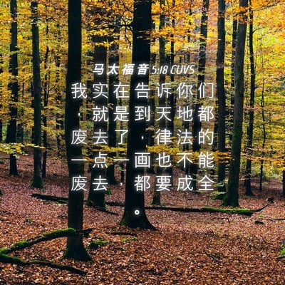 Picture 04 - 马 太 福 音 5:18 CUVS - 我 实 在 告 诉 你 们 ， 就 是 到 天 - Bible Verse Picture