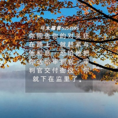 Picture 04 - 马 太 福 音 5:25 CUVS - 你 同 告 你 的 对 头 还 在 路 上 ， - Bible Verse Picture