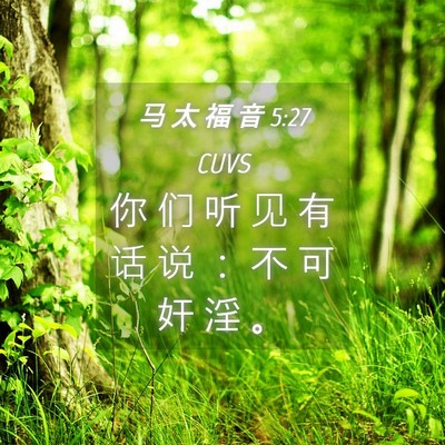 Picture 04 - 马 太 福 音 5:27 CUVS - 你 们 听 见 有 话 说 ： 不 可 奸 淫 - Bible Verse Picture