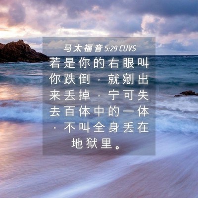 Picture 04 - 马 太 福 音 5:29 CUVS - 若 是 你 的 右 眼 叫 你 跌 倒 ， 就 - Bible Verse Picture