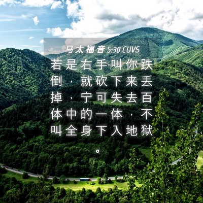 Picture 04 - 马 太 福 音 5:30 CUVS - 若 是 右 手 叫 你 跌 倒 ， 就 砍 下 - Bible Verse Picture