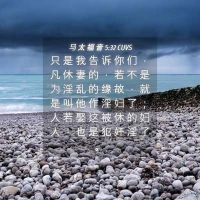 Picture 04 - 马 太 福 音 5:32 CUVS - 只 是 我 告 诉 你 们 ， 凡 休 妻 的 - Bible Verse Picture