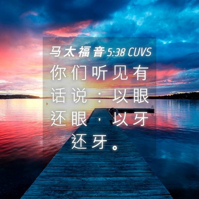 Picture 04 - 马 太 福 音 5:38 CUVS - 你 们 听 见 有 话 说 ： 以 眼 还 眼 - Bible Verse Picture