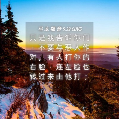 Picture 04 - 马 太 福 音 5:39 CUVS - 只 是 我 告 诉 你 们 ， 不 要 与 恶 - Bible Verse Picture