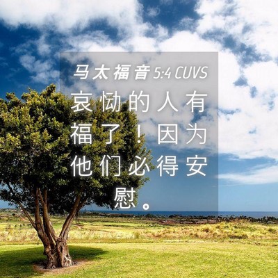 Picture 04 - 马 太 福 音 5:4 CUVS - 哀 恸 的 人 有 福 了 ！ 因 为 他 们 - Bible Verse Picture