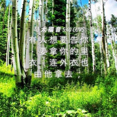 Picture 04 - 马 太 福 音 5:40 CUVS - 有 人 想 要 告 你 ， 要 拿 你 的 里 - Bible Verse Picture