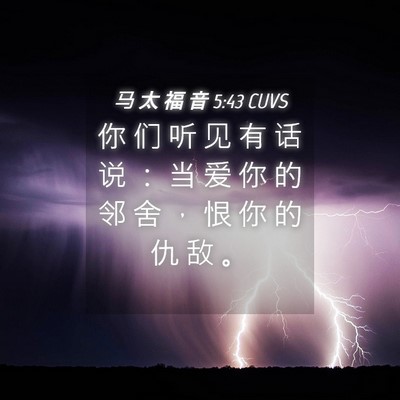 Picture 04 - 马 太 福 音 5:43 CUVS - 你 们 听 见 有 话 说 ： 当 爱 你 的 - Bible Verse Picture