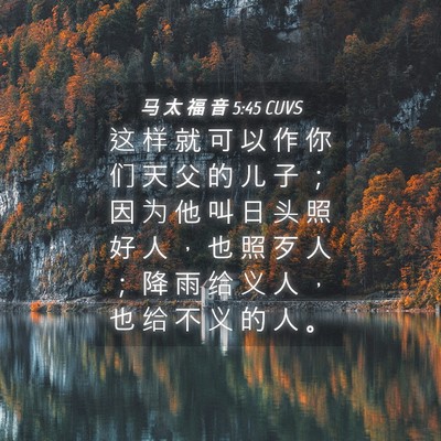Picture 04 - 马 太 福 音 5:45 CUVS - 这 样 就 可 以 作 你 们 天 父 的 儿 - Bible Verse Picture