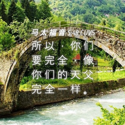 Picture 04 - 马 太 福 音 5:48 CUVS - 所 以 ， 你 们 要 完 全 ， 像 你 们 - Bible Verse Picture