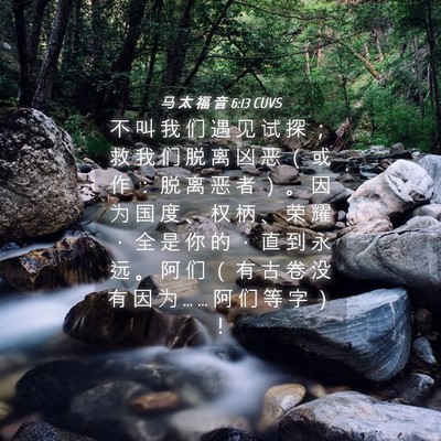 Picture 04 - 马 太 福 音 6:13 CUVS - 不 叫 我 们 遇 见 试 探 ； 救 我 们 - Bible Verse Picture