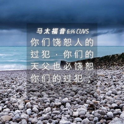 Picture 04 - 马 太 福 音 6:14 CUVS - 你 们 饶 恕 人 的 过 犯 ， 你 们 的 - Bible Verse Picture