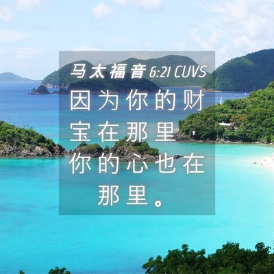 Picture 04 - 马 太 福 音 6:21 CUVS - 因 为 你 的 财 宝 在 那 里 ， 你 的 - Bible Verse Picture