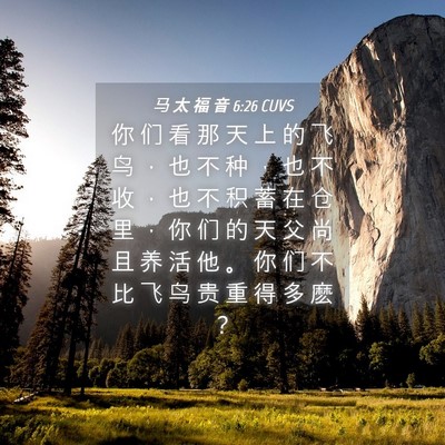 Picture 04 - 马 太 福 音 6:26 CUVS - 你 们 看 那 天 上 的 飞 鸟 ， 也 不 - Bible Verse Picture