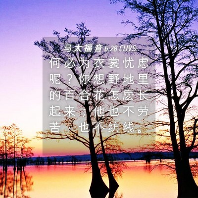 Picture 04 - 马 太 福 音 6:28 CUVS - 何 必 为 衣 裳 忧 虑 呢 ？ 你 想 野 - Bible Verse Picture