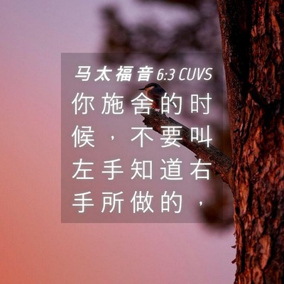 Picture 04 - 马 太 福 音 6:3 CUVS - 你 施 舍 的 时 候 ， 不 要 叫 左 手 - Bible Verse Picture
