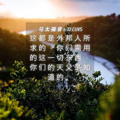 Picture 04 - 马 太 福 音 6:32 CUVS - 这 都 是 外 邦 人 所 求 的 ， 你 们 - Bible Verse Picture