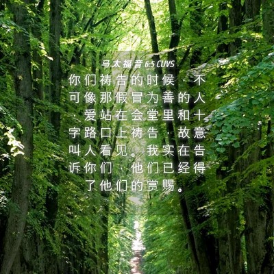 Picture 04 - 马 太 福 音 6:5 CUVS - 你 们 祷 告 的 时 候 ， 不 可 像 那 - Bible Verse Picture
