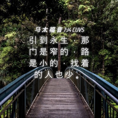 Picture 04 - 马 太 福 音 7:14 CUVS - 引 到 永 生 ， 那 门 是 窄 的 ， 路 - Bible Verse Picture