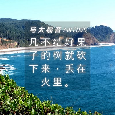 Picture 04 - 马 太 福 音 7:19 CUVS - 凡 不 结 好 果 子 的 树 就 砍 下 来 - Bible Verse Picture