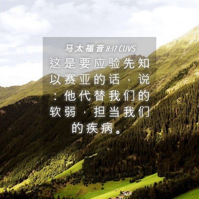 Picture 04 - 马 太 福 音 8:17 CUVS - 这 是 要 应 验 先 知 以 赛 亚 的 话 - Bible Verse Picture