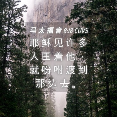 Picture 04 - 马 太 福 音 8:18 CUVS - 耶 稣 见 许 多 人 围 着 他 ， 就 吩 - Bible Verse Picture