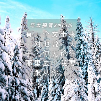 Picture 04 - 马 太 福 音 8:19 CUVS - 有 一 个 文 士 来 ， 对 他 说 ： 夫 - Bible Verse Picture