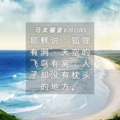 Picture 04 - 马 太 福 音 8:20 CUVS - 耶 稣 说 ： 狐 狸 有 洞 ， 天 空 的 - Bible Verse Picture