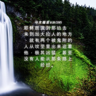 Picture 04 - 马 太 福 音 8:28 CUVS - 耶 稣 既 渡 到 那 边 去 ， 来 到 加 - Bible Verse Picture