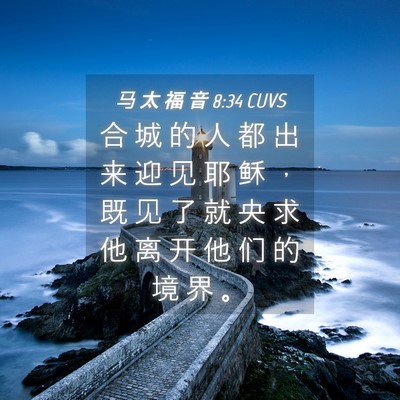 Picture 04 - 马 太 福 音 8:34 CUVS - 合 城 的 人 都 出 来 迎 见 耶 稣 ， - Bible Verse Picture