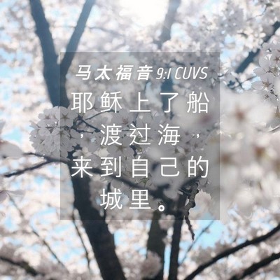 Picture 04 - 马 太 福 音 9:1 CUVS - 耶 稣 上 了 船 ， 渡 过 海 ， 来 到 - Bible Verse Picture