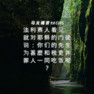 Picture 04 - 马 太 福 音 9:11 CUVS - 法 利 赛 人 看 见 ， 就 对 耶 稣 的 - Bible Verse Picture