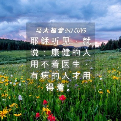 Picture 04 - 马 太 福 音 9:12 CUVS - 耶 稣 听 见 ， 就 说 ： 康 健 的 人 - Bible Verse Picture