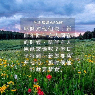 Picture 04 - 马 太 福 音 9:15 CUVS - 耶 稣 对 他 们 说 ： 新 郎 和 陪 伴 - Bible Verse Picture