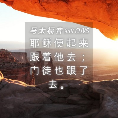 Picture 04 - 马 太 福 音 9:19 CUVS - 耶 稣 便 起 来 跟 着 他 去 ； 门 徒 - Bible Verse Picture